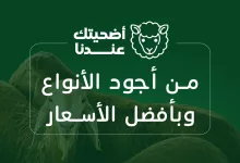 500040174 1100267248802853 533039741015168288 n - عروض بنده علي أضاحي العيد من أجود الأنواع و أفضل الاسعار